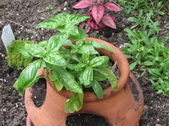 Enlarge photo 23