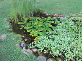 Enlarge photo 8