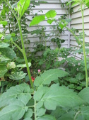Enlarge photo 19