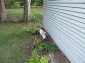 Enlarge photo 28