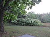 Enlarge photo 29