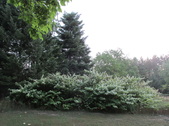 Enlarge photo 30