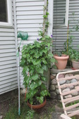 Enlarge photo 3