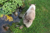 Enlarge photo 23