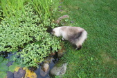 Enlarge photo 24