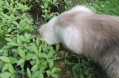 Enlarge photo 25