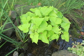 Enlarge photo 27