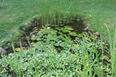 Enlarge photo 28