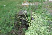 Enlarge photo 29