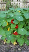 Enlarge photo 25