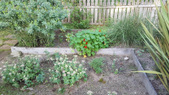 Enlarge photo 26