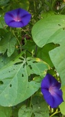 Enlarge photo 28