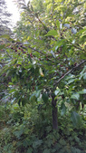 Enlarge photo 25