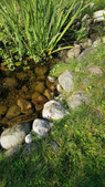 Enlarge photo 28