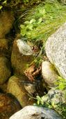 Enlarge photo 30