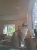 Enlarge photo 9