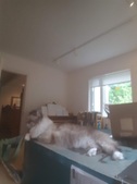Enlarge photo 10