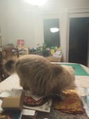 Enlarge photo 5
