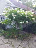 Enlarge photo 15