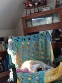 Enlarge photo 23