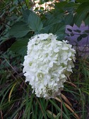 Enlarge photo 24