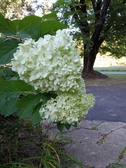 Enlarge photo 25