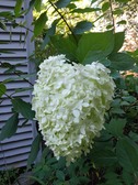 Enlarge photo 26