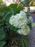 Enlarge photo 27