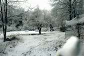 Enlarge photo 16