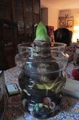 Enlarge photo 10