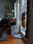 Enlarge photo 19