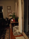 Enlarge photo 28