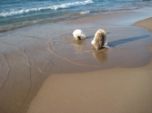 Enlarge photo 27