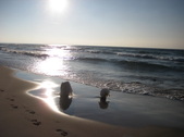 Enlarge photo 28