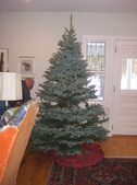 Enlarge photo 14