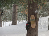 Enlarge photo 6
