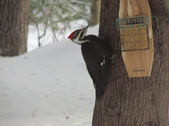 Enlarge photo 11