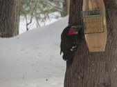 Enlarge photo 13