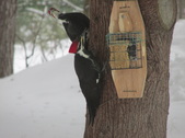 Enlarge photo 23