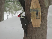 Enlarge photo 25