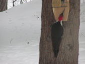Enlarge photo 26