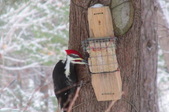Enlarge photo 24