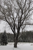 Enlarge photo 29