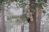 Enlarge photo 32