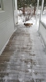 Enlarge photo 20