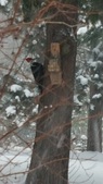 Enlarge photo 27