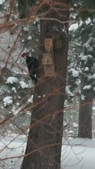 Enlarge photo 28