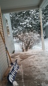 Enlarge photo 26