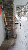 Enlarge photo 26