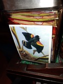Enlarge photo 12